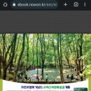 수락산 순환산책로 이미지