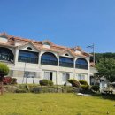 평생 사랑해 줄 개 애견펜션1 이미지