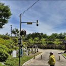 고래농장 이미지