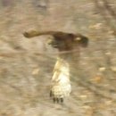 평화약수터 이미지