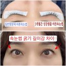 와우2 | 와우 래쉬 앰플 속눈썹 영양제 2달차 리얼 후기(+전국 최저가 안내)