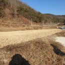 소보농장 이미지