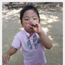 남신초등학교 병설유치원 이미지