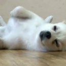 길구농장 이미지