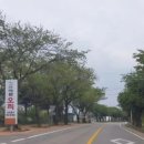 신바람오리 이미지