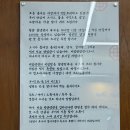 꽃집냉면 | 금야면옥ㅣ한정판매 갈비탕, 물냉 후기ㅣ낙성대 맛집 냉면