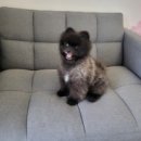 해피비해피펜션 이미지