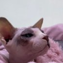 카페188 이미지