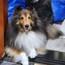 두카메디컬센터 이미지