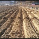 초성 농장 이미지