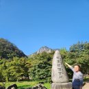 장성사랑공인중개사사무소 이미지