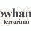 반려식물 테라리움 만들기 이미지