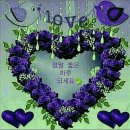 참나무쟁이카페 이미지