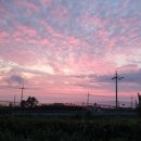 바닷가엄마집 이미지