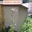 석전동260 이미지