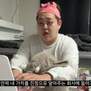 팡팡 이미지