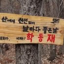 청량산 임도1 Daum카페