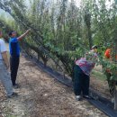 두학농장 이미지