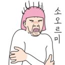 하버클럽파라수상레져