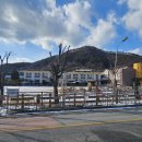 송풍초,용담중 이미지