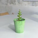 피스오브그라프 | 3월 위시리스트