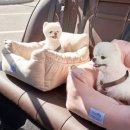 멍냥 펫택시 이미지