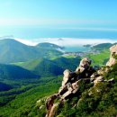 5월 정기산행 "남해 금산(705m)" 이미지