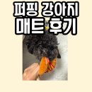퍼핑 서포터즈 3개월 차 강아지 매트 모던 디자인 마블 찐 후기