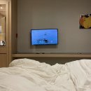 비스트로피자 금천점 | 서울 호텔 추천 : 가산디지털단지 골드리버호텔 내돈내산 솔직 후기(예약할인꿀팁!)