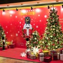 유니버설발레단 <호두까기인형 갈라> 이미지