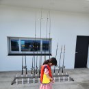 김녕수산 티스토리