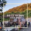 시즌온짐 | [경기도/파주] 아이랑 갈만한 신상 가을캠핑장 추천 시즌온 1박 후기