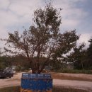 사계지낚시터 이미지