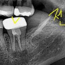 연세재신치과의원 이미지