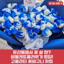 (주)이마트 둔산점 | 둔산 꽃집 비올레뜨플라워 생일 기념일 꽃다발 내돈내산 대만족 후기