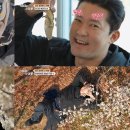 어디든