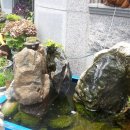 횟집아저씨 이미지