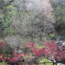 장복하늘마루산길(삼밀사입구) 네이버블로그