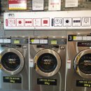 부성 세탁 이미지