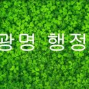 새광명행정사 이미지