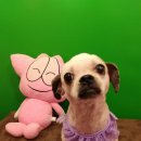 연성동주민센터 이미지