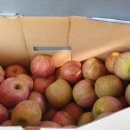 현암농장 이미지