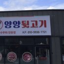 양양뒷고기 티스토리