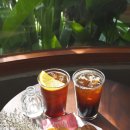 가재약국 | 푸꾸옥 맛집 락록랍스터 할인쿠폰 포함