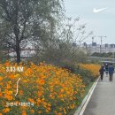 오산역 미쎄쏘커피 후기 ☕️