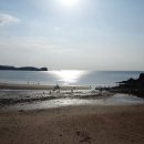 베이브리즈 이미지