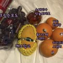 더리얼푸릇 이미지