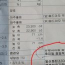 제이디피모터스 이도점 이미지