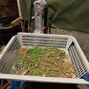 미성동-10 이미지