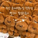 바이곰 | 부산 광복 롯데백화점 4월 | 5월 행사! 고미곰(케키바이고미) 팝업 스토어 후기